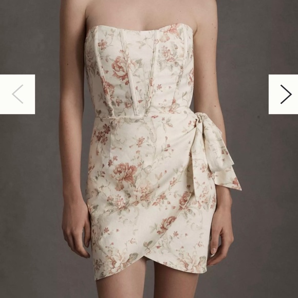 V. Chapman Nasturtium Mini - Picture 3 of 3